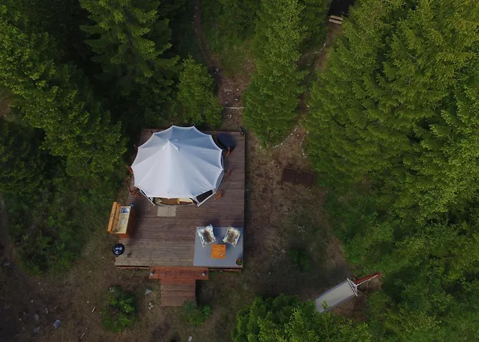 Glamping Tent With Amazing View In The Forest