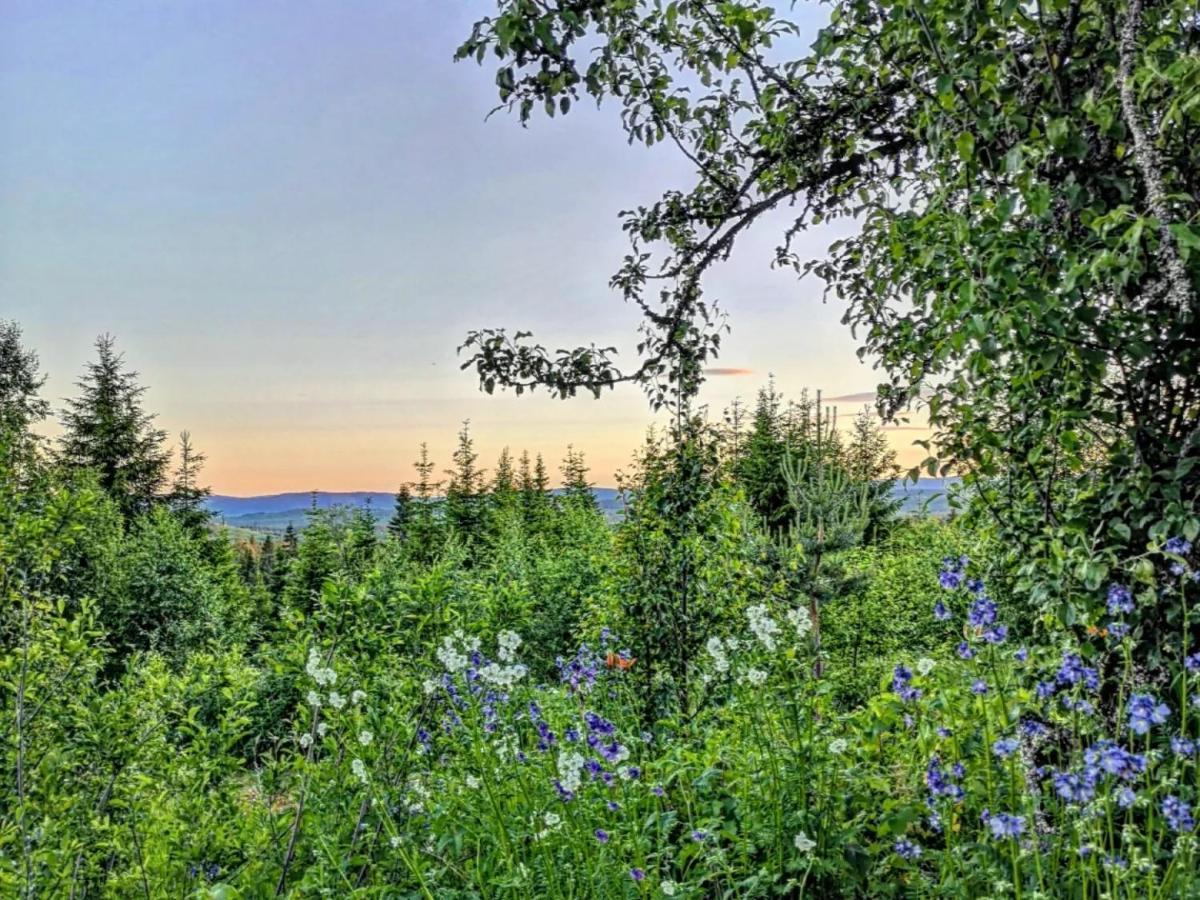 Glamping Tent With Amazing View In The Forest Tente de luxe *