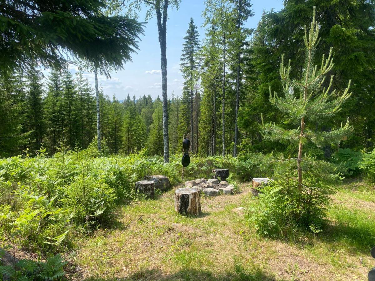 Tente de luxe Glamping Tent With Amazing View In The Forest *
