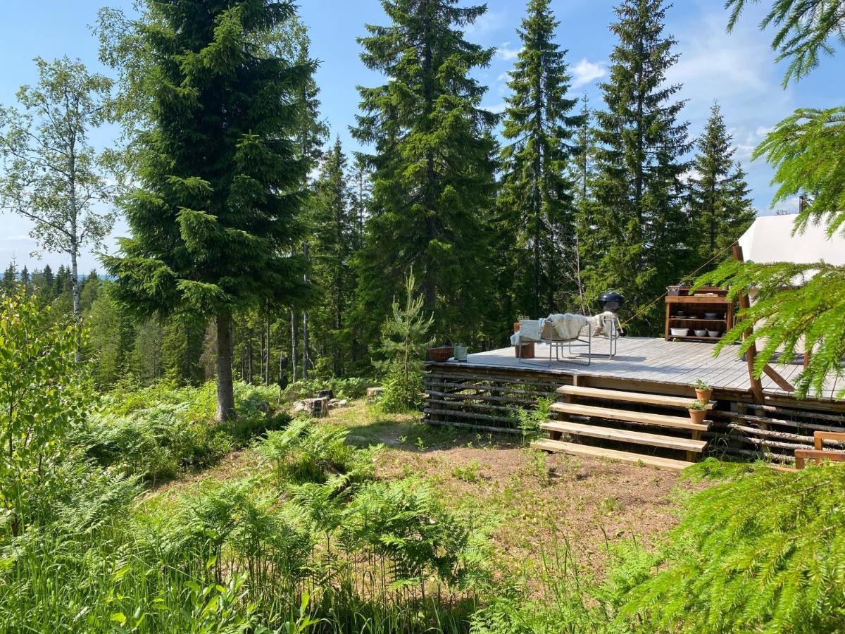 Glamping Tent With Amazing View In The Forest Torsby